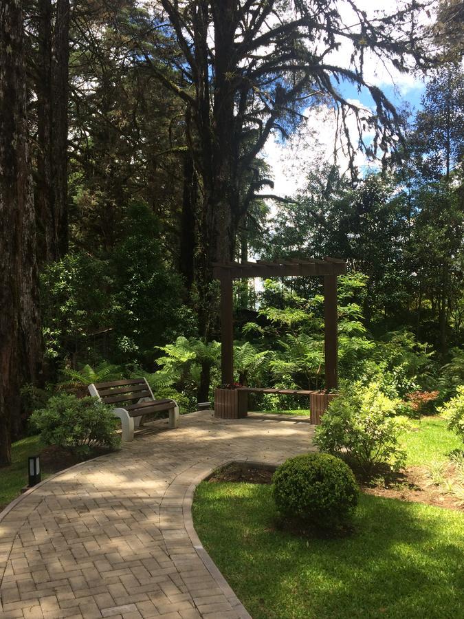 Altos Da Bela Vista Gramado Centro Locacao De Temporada Leilighet Eksteriør bilde